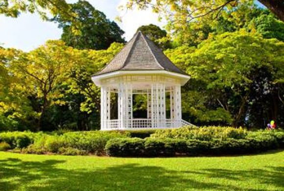 Singapore Botanic Garden